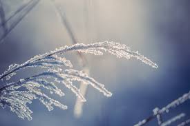 Cold Weather